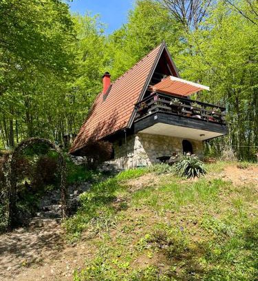 Generalski Stol Ski Chalet | Mrežnički doživljaj: Family-Friendly Oceanfront Escape