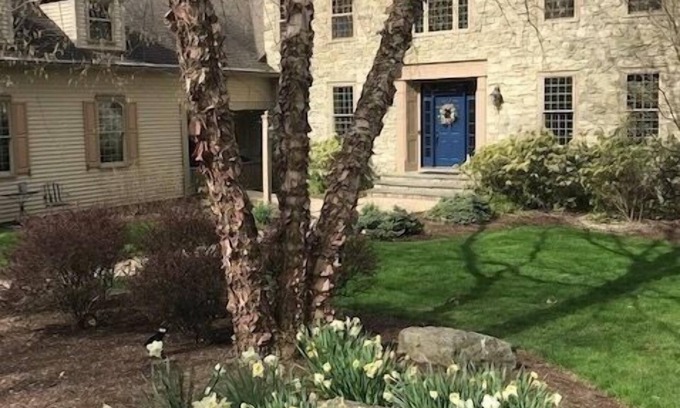 Fleming House | Mt. Nittany Hideaway: Guest Rated 10/10 with Pool & Breakfast