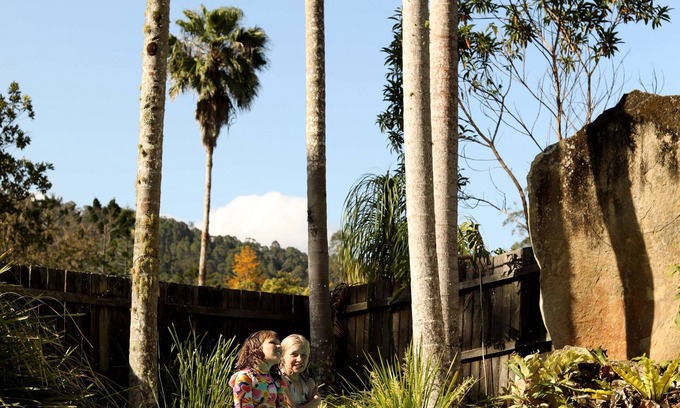 Mount Warning Other | Inviting Mt Warning Rainforest Park: Pool & Breakfast Included