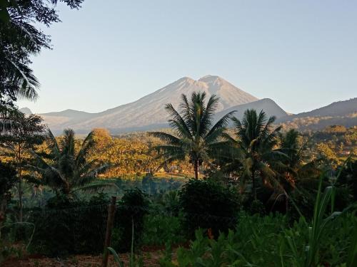 Lombok House | Guest Rated 10/10: Mudung Keramat Homestay Awaits You