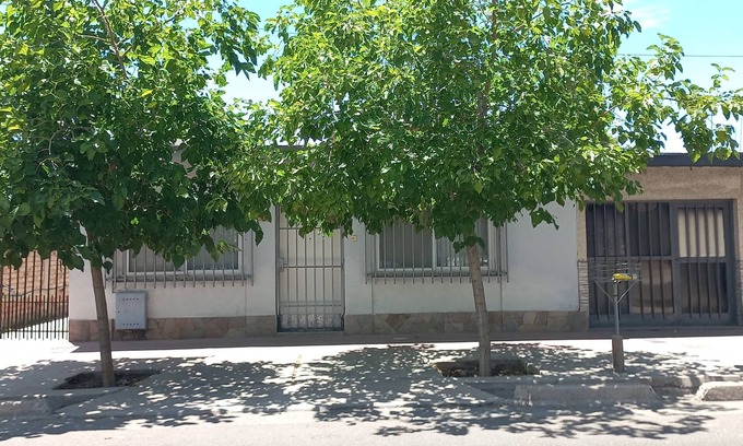 Godoy Cruz House | Mulberry trees