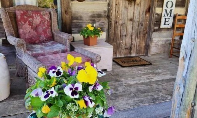 Berry Cabin | Rustic Mullins Log Cabin with Breakfast Near Ark Encounter