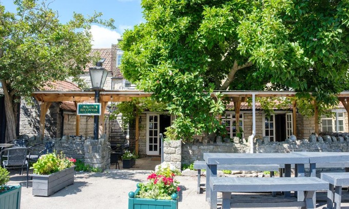 Street Bed & Breakfast | Mullions 51 B&B: Pet-Friendly Comfort for Every Traveler