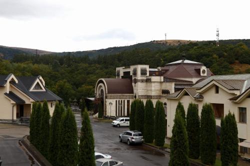 Tsaghkadzor Hotel | Relax at Multi Rest House: Pet Friendly with Pool & Spa