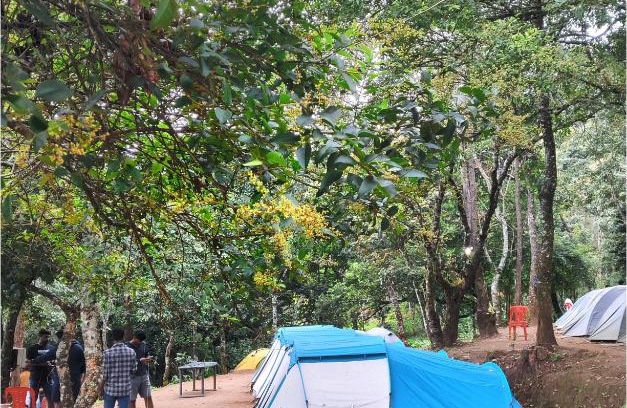 Suryanelli Other | Welcome to Munnar iwa: Perfect for Family Getaways