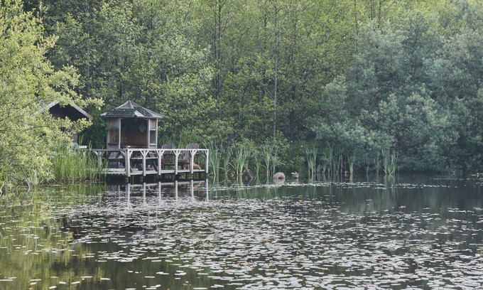Glandyfi Cabin | Cozy Mushroom Yurt Nestled in Woodland with Breakfast Included