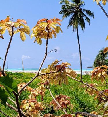 Jambiani House | Mustafa 's Bungalow