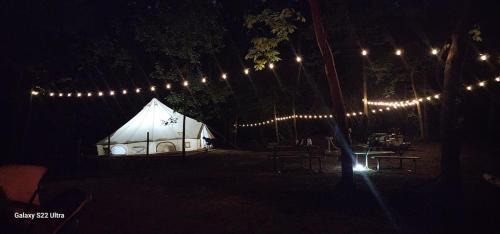 South Bend Other | Discover Mustang Sally's Park: Pet-Friendly Family Retreat
