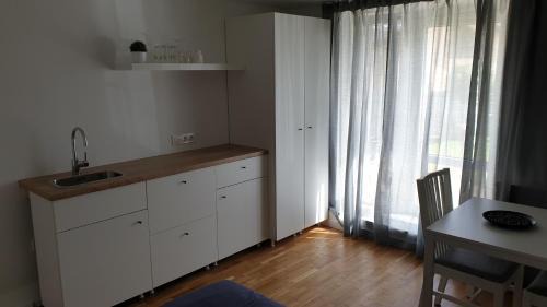Anyksciai House | Top-Rated Muziejaus 10 Studio - Ideal for Families