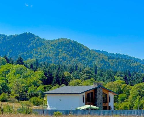Likani Cabin | Cozy MV Cottages: Family & Pet-Friendly Retreat Awaits