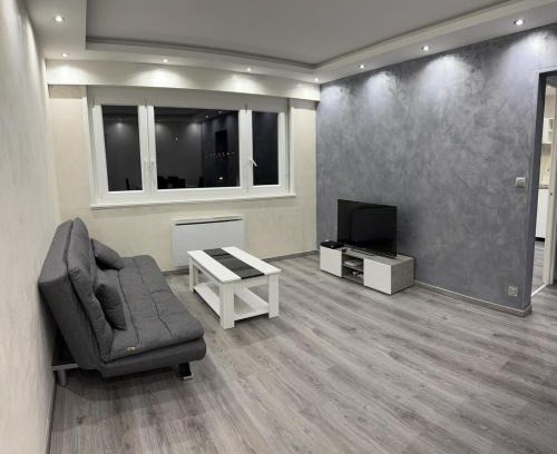 Bischheim Apartment | Discover My Best Vacation: Pet and Child Friendly Stay