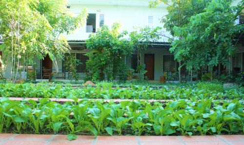 Kampot House | Cozy My Parents Guesthouse with Family-Friendly Amenities