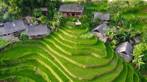 Sa Pa House | Top-Rated My's Homestay in Sapa with Delicious Breakfast