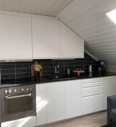 Tonsberg Apartment | Pet-Friendly Mycondo with Breakfast and Free Parking
