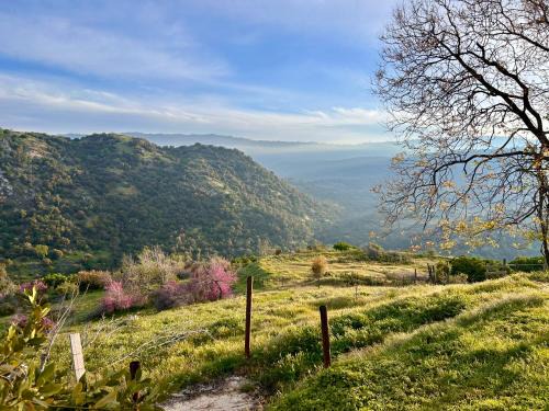 Miramonte House | Cozy Mystic Mountain Retreat: Family & Pet Friendly Escape