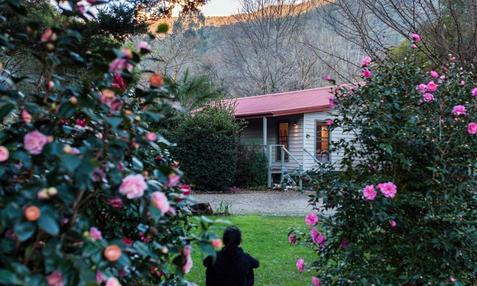 Wandiligong House | Enchanting Mystical View Cottage: Rated 9.8, Oceanfront Bliss