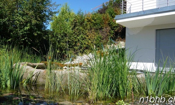 Obersiggenthal Apartment | Scenic N1 Standalone House Baden with Oceanfront Views
