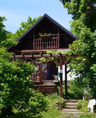 Breznik Plesivicki Cabin | Discover Na Okić - Your Private Forest Retreat Awaits