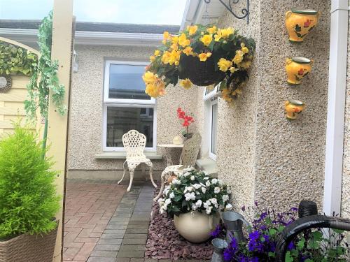 Naas Ski Chalet | Inviting Naas 2 Bedroom Escape with Back Garden Oasis
