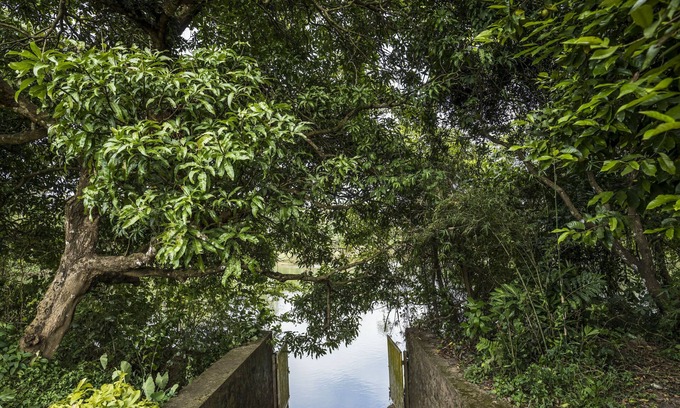 Aluva Resort | Serene Nadhiyoram River Retreat with Pool & Spa Amenities