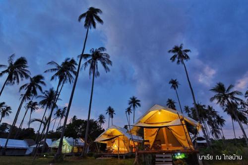 Ko Mak Resort | Idyllic Naivacha Tent Koh Mak with Private Beach Access