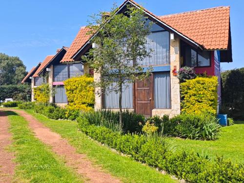 Huasca De Ocampo Cabin | Pet-Friendly Retreat: Namasté Cabañas, Huasca de Ocampo