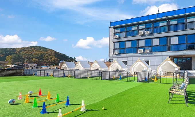 Namhae House | Top-Rated Namhae Dangdangi Dog Pension with Pool Access
