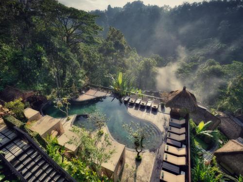Payangan Resort | Experience Nandini Jungle by Hanging Gardens: 5-Star Bliss