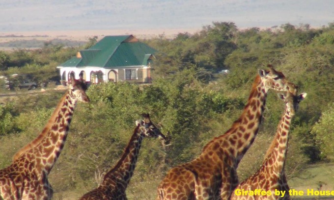 Talek House | Experience Comfort at Narasha Homestay - Maasai Mara