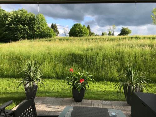 Muensingen Apartment | Kid-Friendly Hotel Natalie with High Guest Ratings