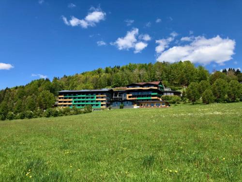 Bodenmais Hotel | Natura Hotel Bodenmais with Spa, Pool & Complimentary Drinks
