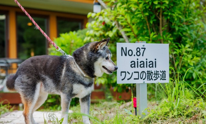 Zao House | Natural hot spring rental villa aiaiai Dog walking/Kattagun Miyagi