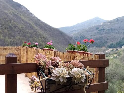 Nasino Apartment | Guest Rated NaturAma: Family-Friendly Retreat with Kitchen