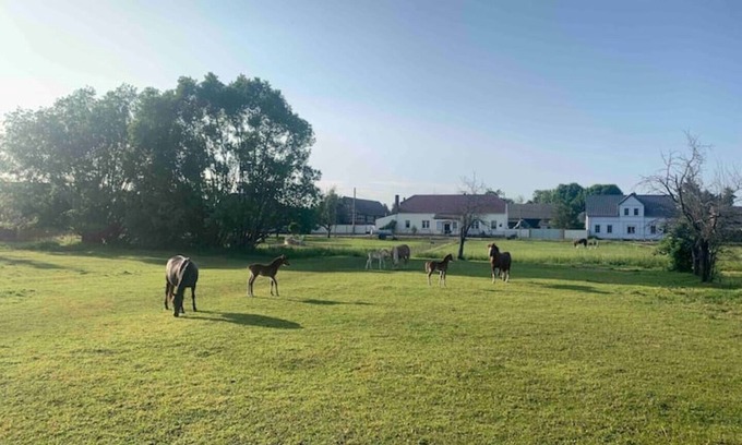 Lubbenau/Spreewald House | Tranquil Nature Escape at a Modern Retreat, Guest Rated 10/10