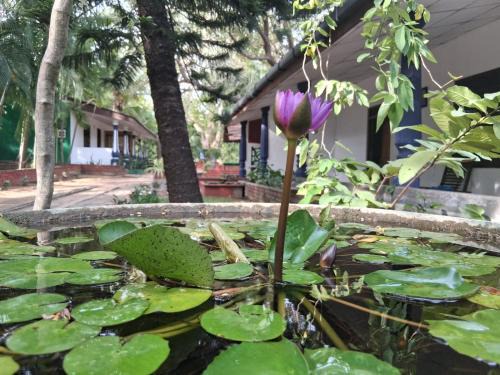 Moragaswewa House | Nature Lodge