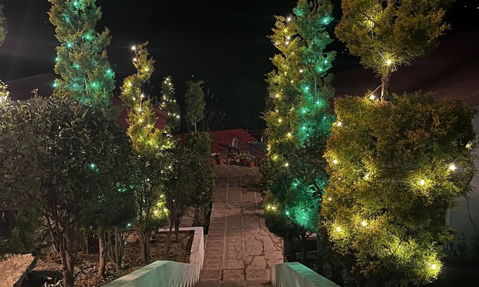 Shilon Bagh Hotel | Eco-Friendly Nature Nest Resort with Pet and Family Amenities
