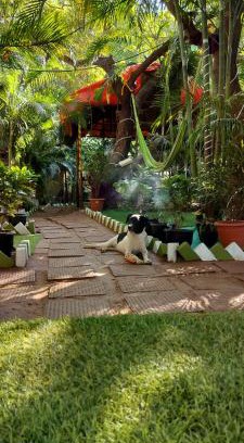 Arambol Resort | Pet-Friendly Escape at Nature of Arambol - Rated 9.3/10