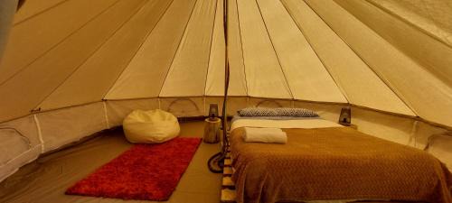 Porto Moniz Other | Nature Retreat: Cozy Escape in Laurel Forest with Kitchen
