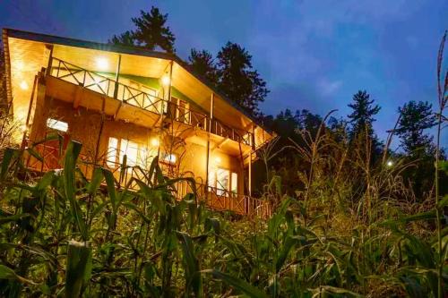Jibhi Ski Chalet | Nature View Cottage jibhi