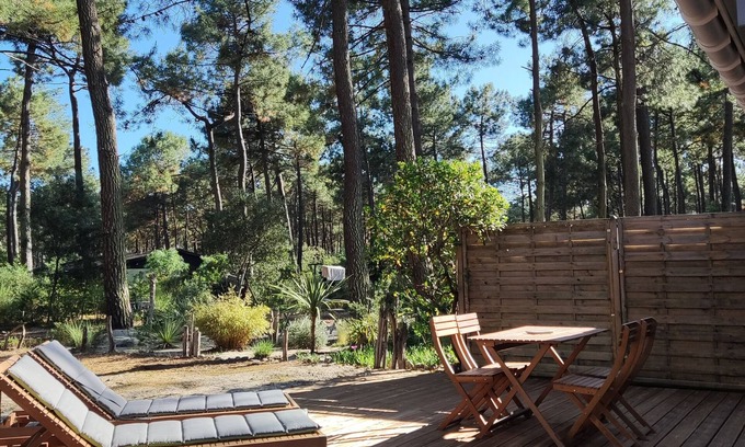Grayan-Et-L'Hopital Ski Chalet | Inviting Naturist Studio with Pool & Ocean View Amenities