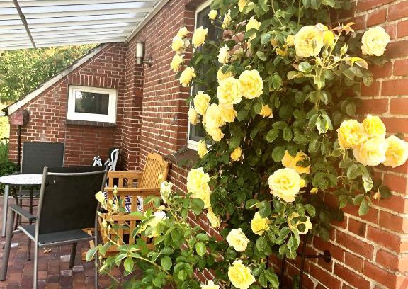 Schirum Apartment | Nature Retreat in Aurich - Guest Rated 8.8/10
