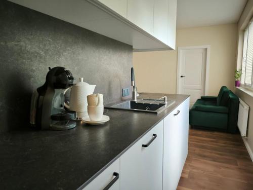 Klaipeda Apartment | Modern Apartment Near City Center with Child-Friendly Amenities