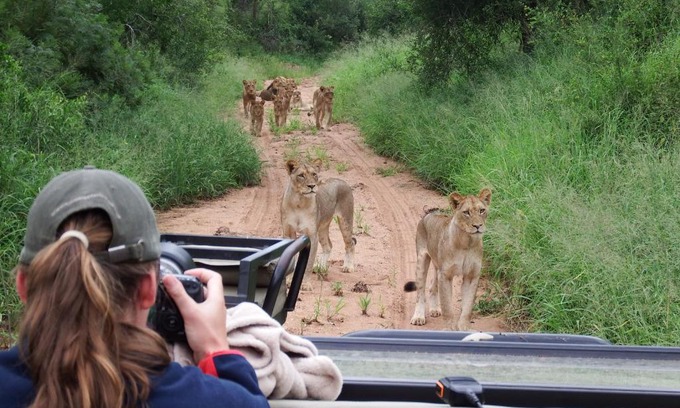 Phalaborwa Other | Explore NDZUTI BUSH CAMP: Guest Rated 10/10 with Pool