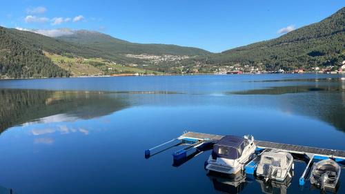 Amla Apartment | Cozy Nedre Amla Fjord Apartment with Oceanfront Views