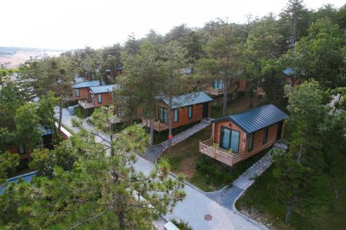 Nilufer Other | Discover Nefes Dağyenice: Family-Friendly Nature Retreat