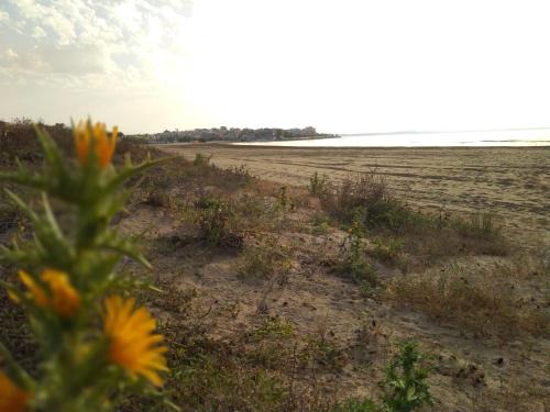 Pozzallo Apartment | Oceanfront NEREIDI Appartamento Agave - Guest Rated 9.5