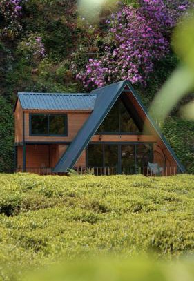 Cayeli Villa | Pet-Friendly Nesli Villa & Bungalow: A Family Escape