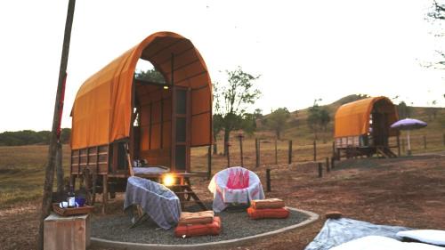 Delfinopolis Other | Nest 1