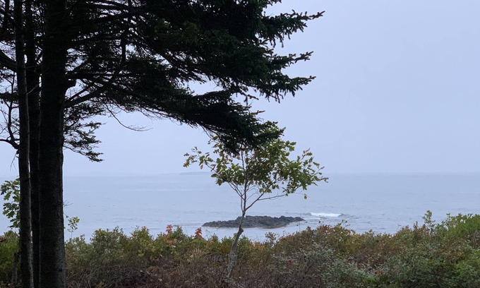 Phippsburg Apartment | Nest del Mar-Gorgeous Classic Maine Camp on the Ocean
