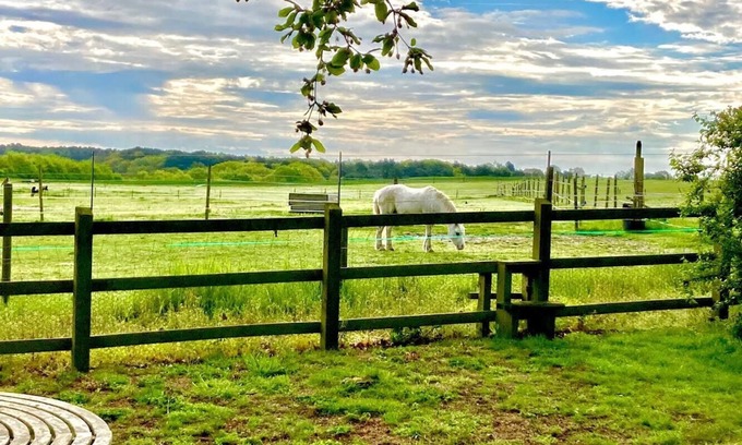 Blythburgh House | Nestled between Southwold and Walberswick- The Nest